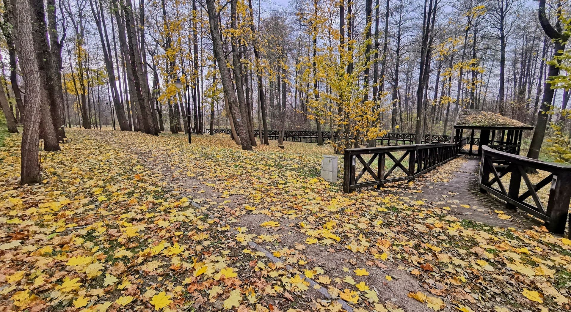 14-Korycin, -park plebański. Fot. L. Pawlata.jpg