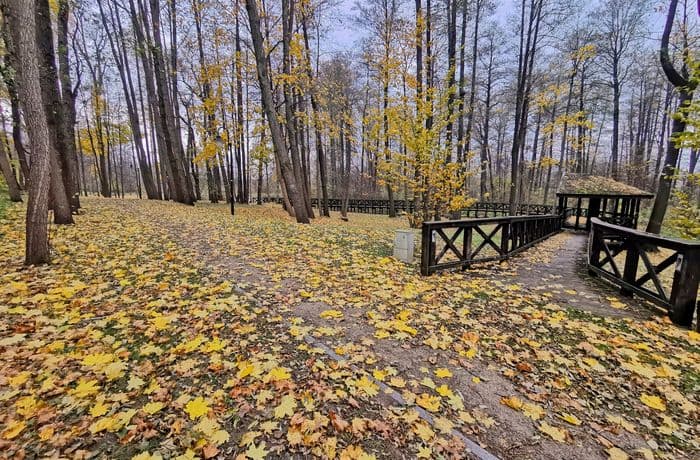 14-Korycin, -park plebański. Fot. L. Pawlata.jpg
