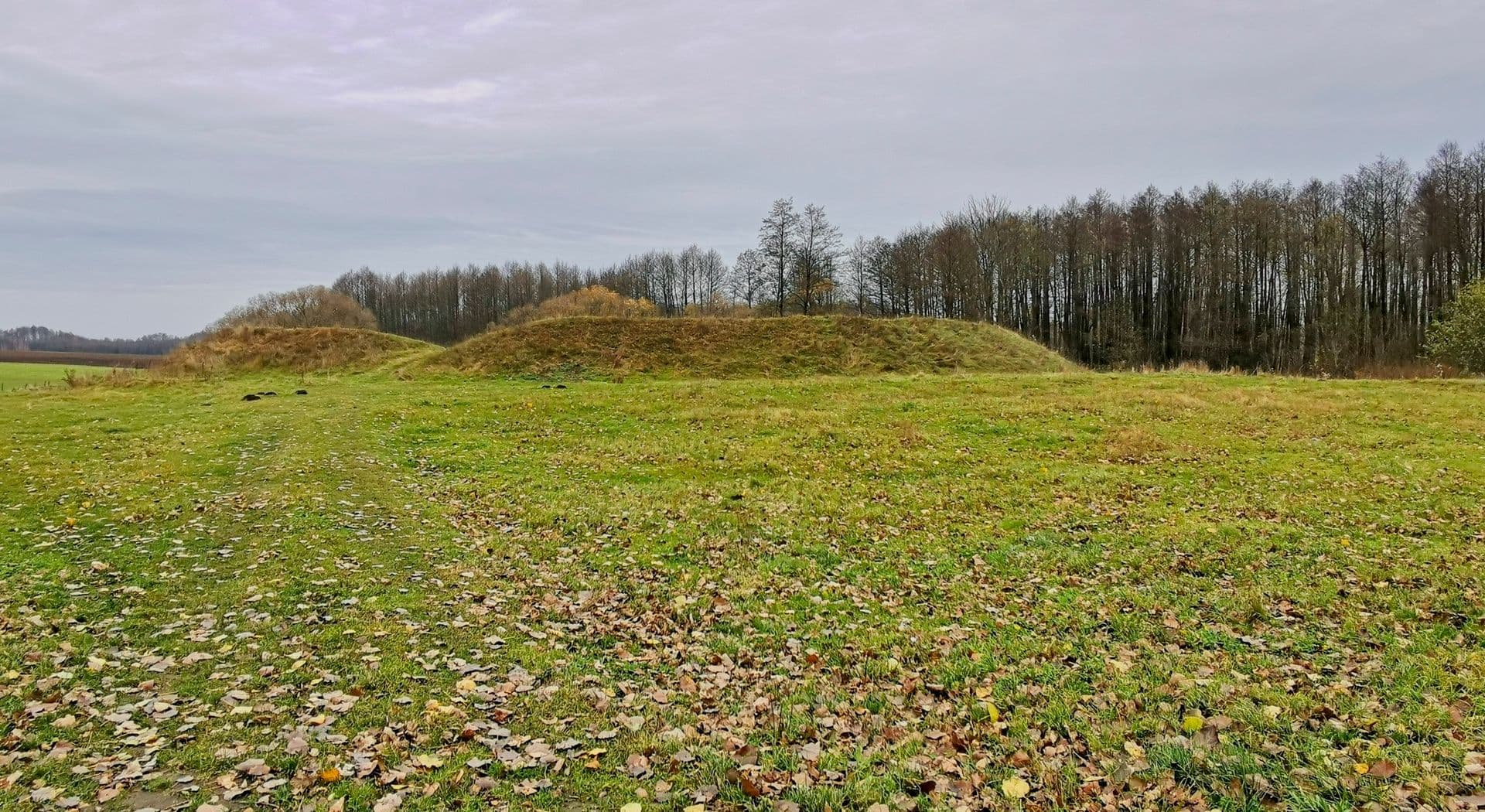 18-Grodzisk, stan.1-grodzisko. Fot. L.Pawlata.jpg