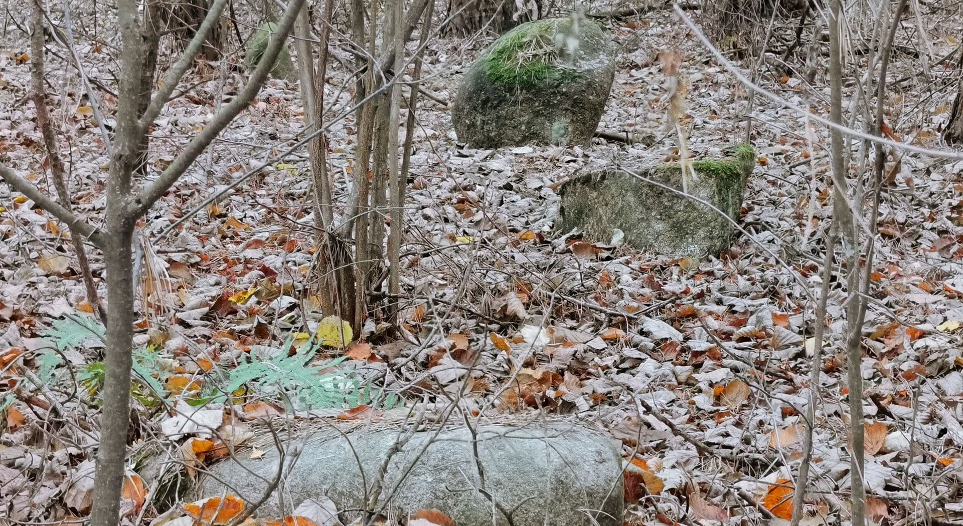 21-Jatwieź Mała, stan.1-cmentarzysko, Fot.L.Pawlata.jpg