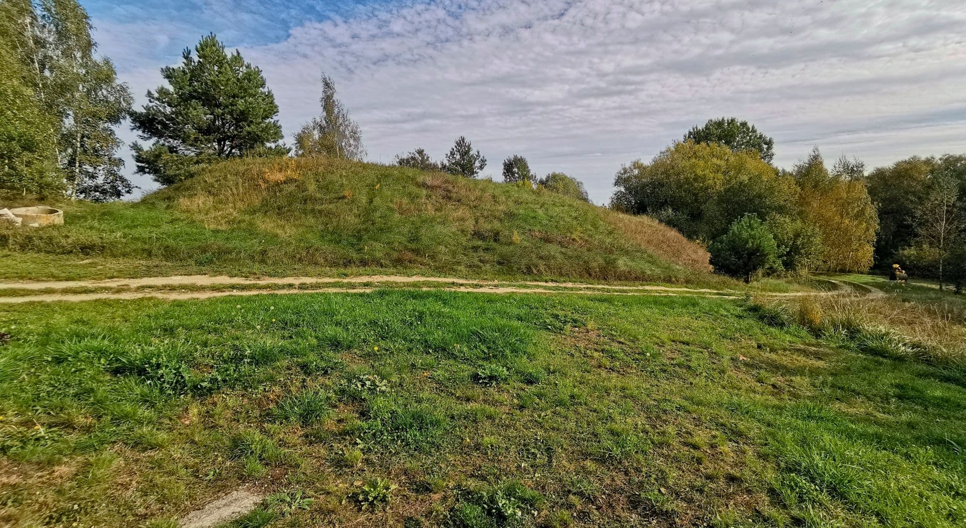 27-Niewiarowo, stan.1-grodzisko. Fot. L.Pawlata.jpg