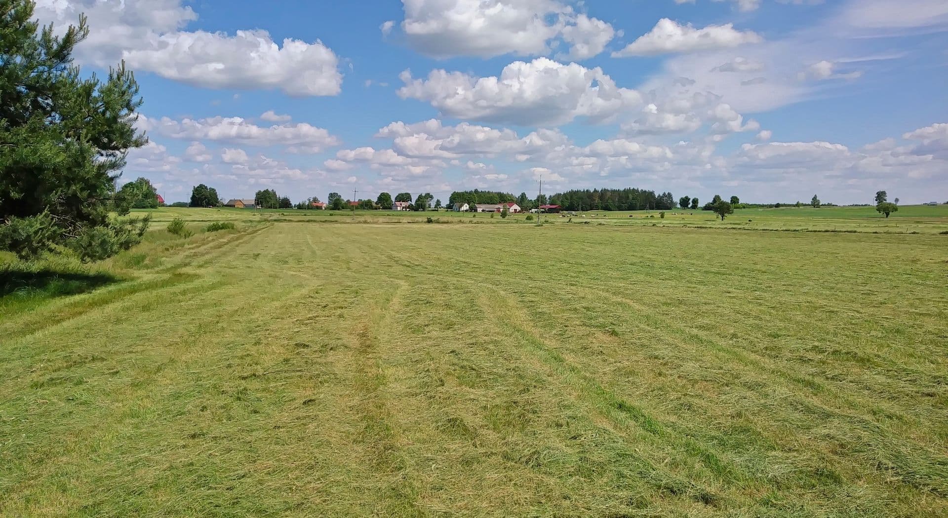 28-Moniuszki, grodzisko nizinne. Fot. L. Pawlata.jpg
