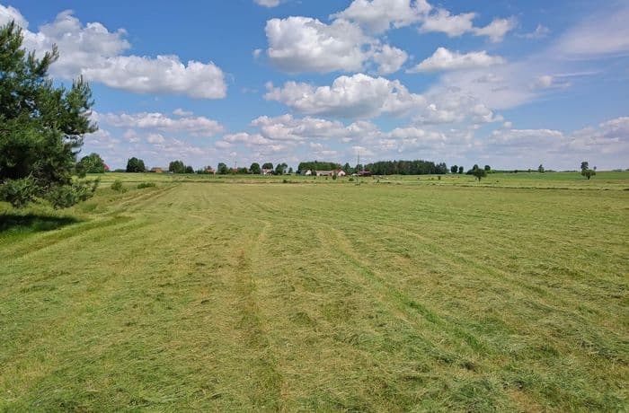 28-Moniuszki, grodzisko nizinne. Fot. L. Pawlata.jpg