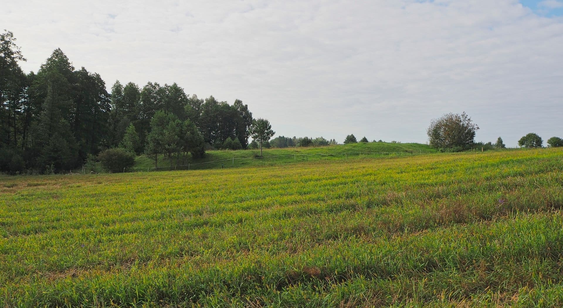 3-Trzcianka-K.Piasecka.jpg