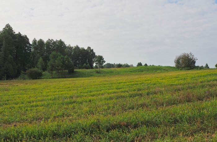 3-Trzcianka-K.Piasecka.jpg