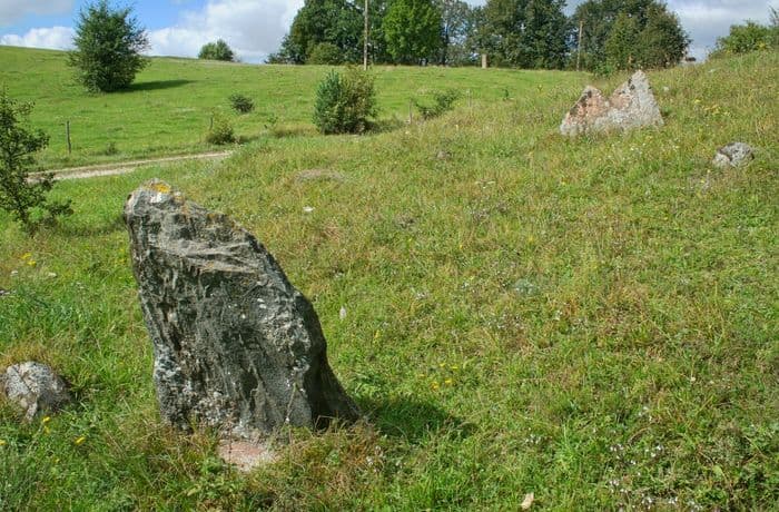 35-Jaginty-cmentarzysko-kamień muzykanta. Fot. A. Wawrusiewicz.jpg