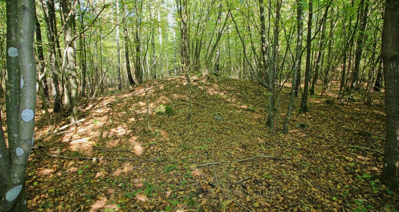 7-Kumialka-stan. 2-fot.C.Sobczak.jpg