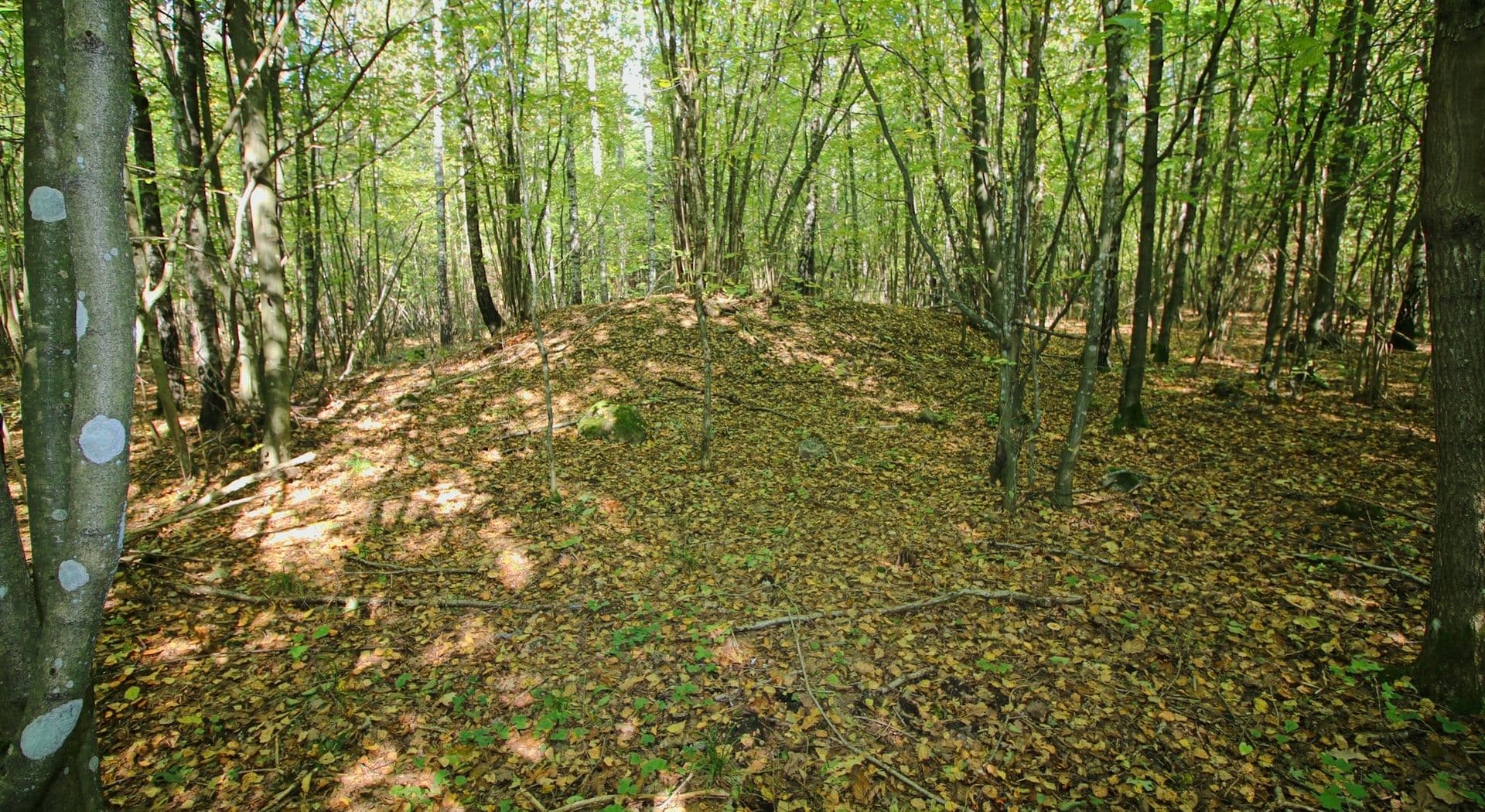7-Kumialka-stan. 2-fot.C.Sobczak.jpg