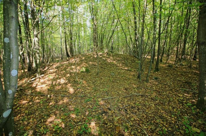 7-Kumialka-stan. 2-fot.C.Sobczak.jpg