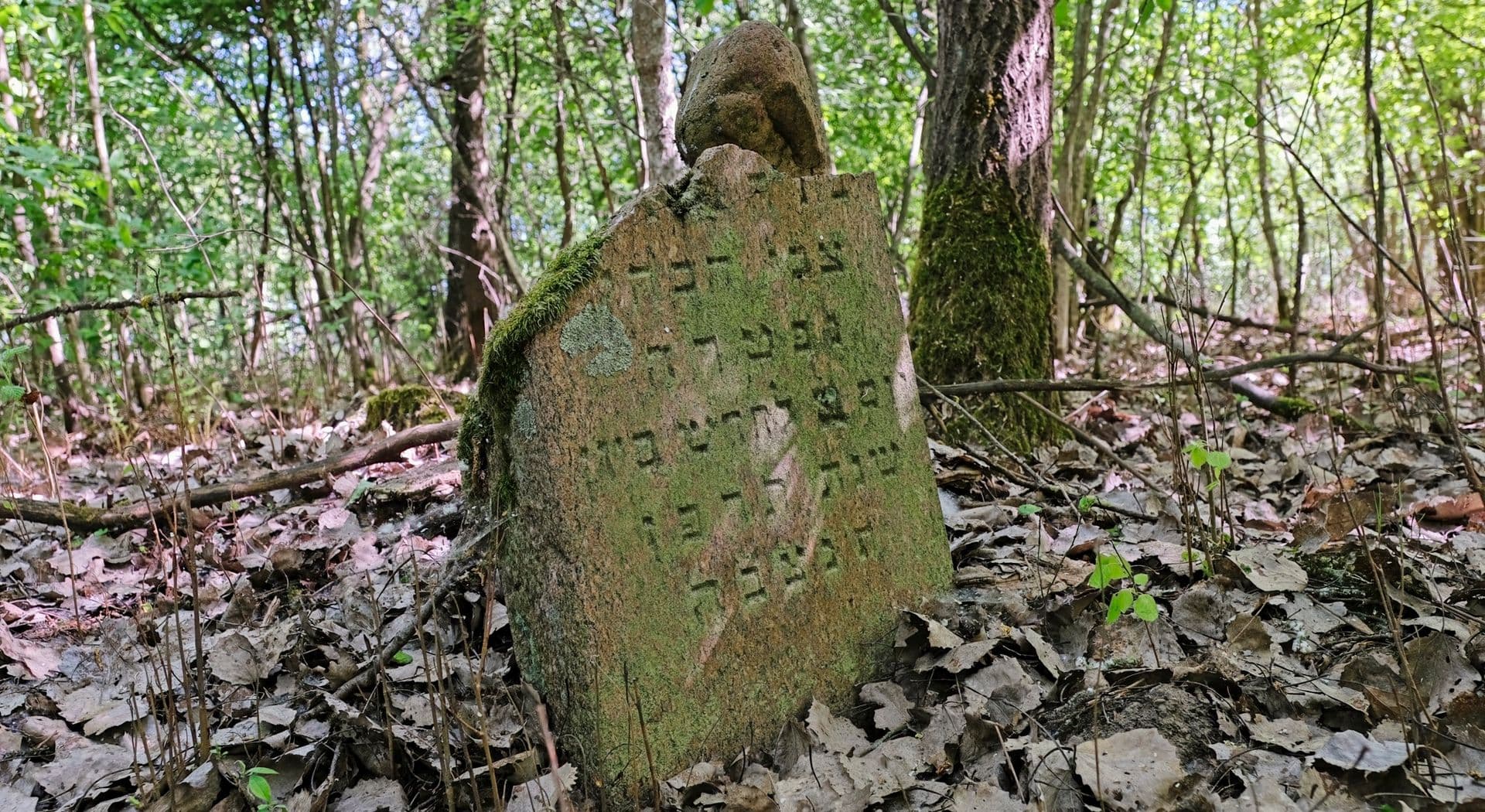 Nr. 15.jpg